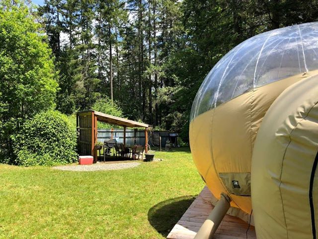 Bubble hotsell tent airbnb