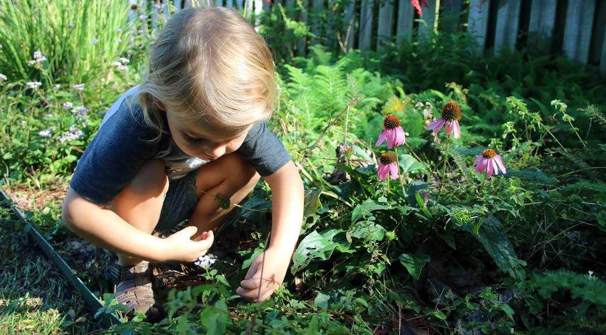 Small child playing with flowers in a backyard garden