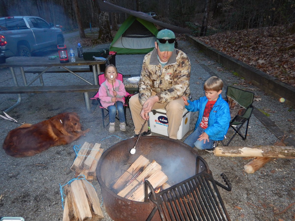 Roasting Marshmallows - Camping with Kids
