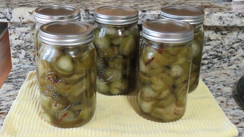 Jars of home-canned pickles on a kitchen counter