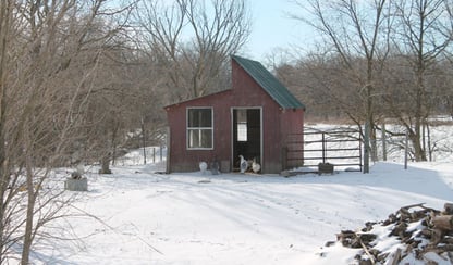 chicken house in winter