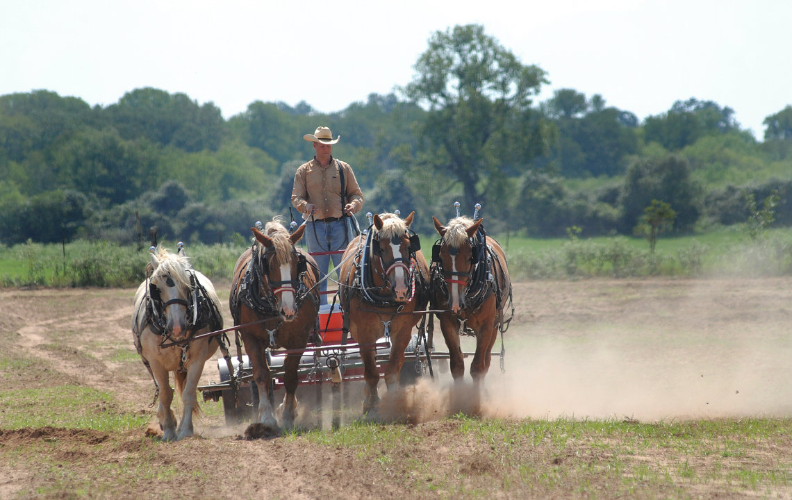 Ben Godfrey using front horses on a sustainable hobby farm in Cameron Texas
