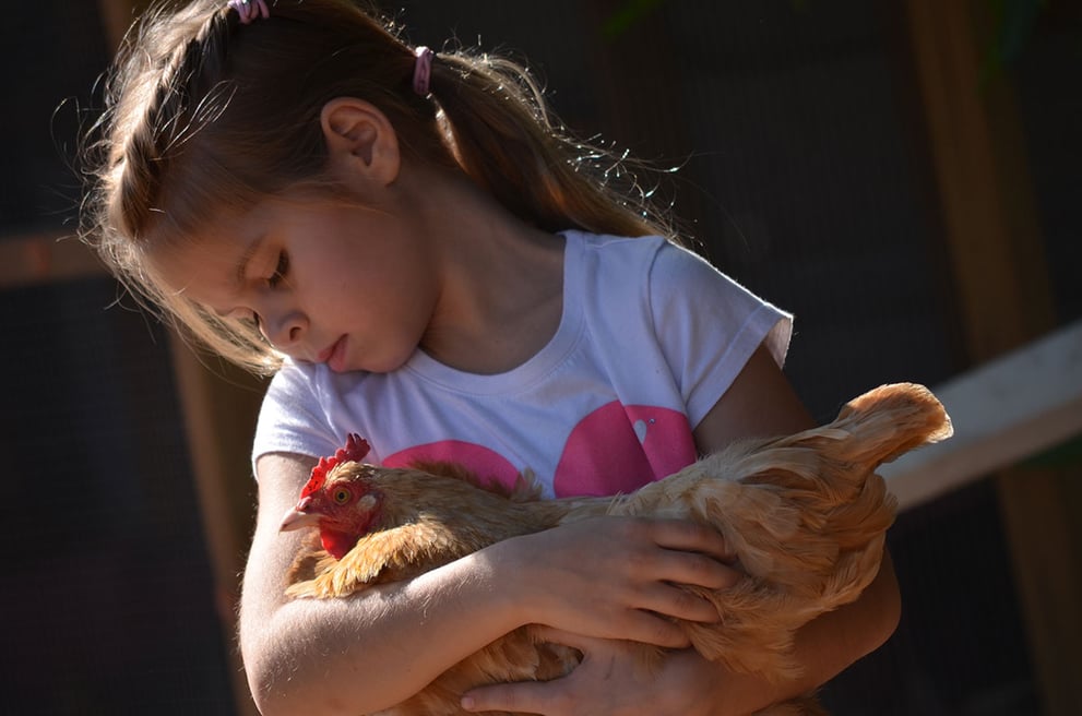 How Humans Benefit From Farm Animals