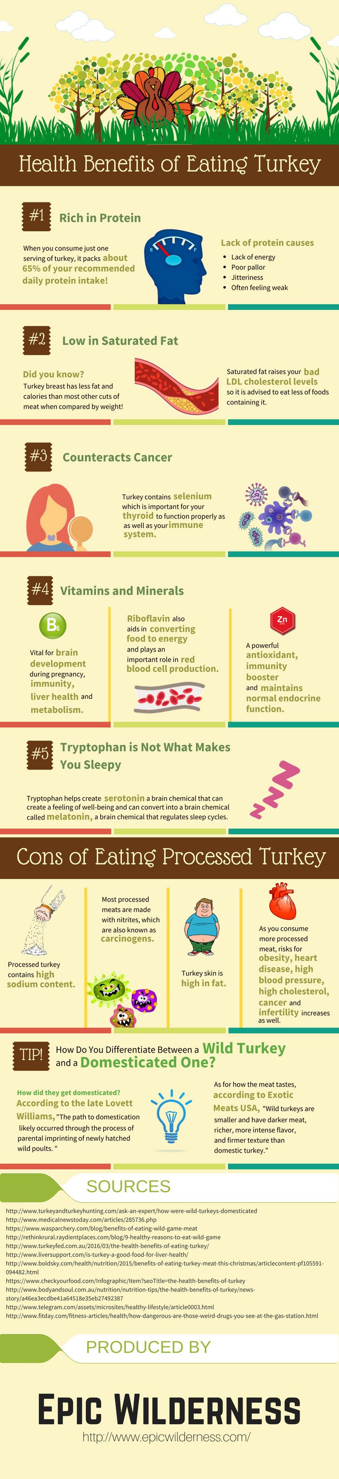Eating Wild Turkey Health Benefits.jpg