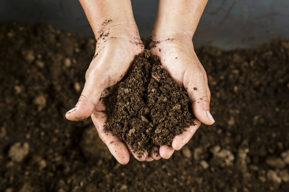 Soil characteristics can impact land value
