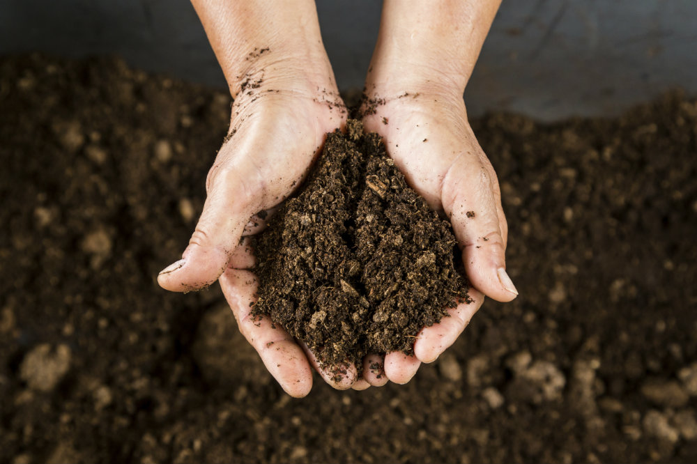 Get soil tested when master planning your garden