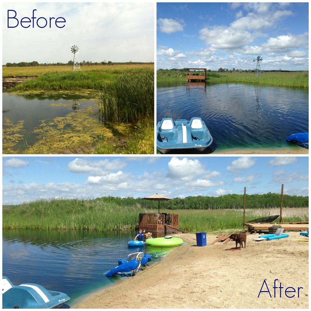 Pond Before and After Natural Cleaning.jpg