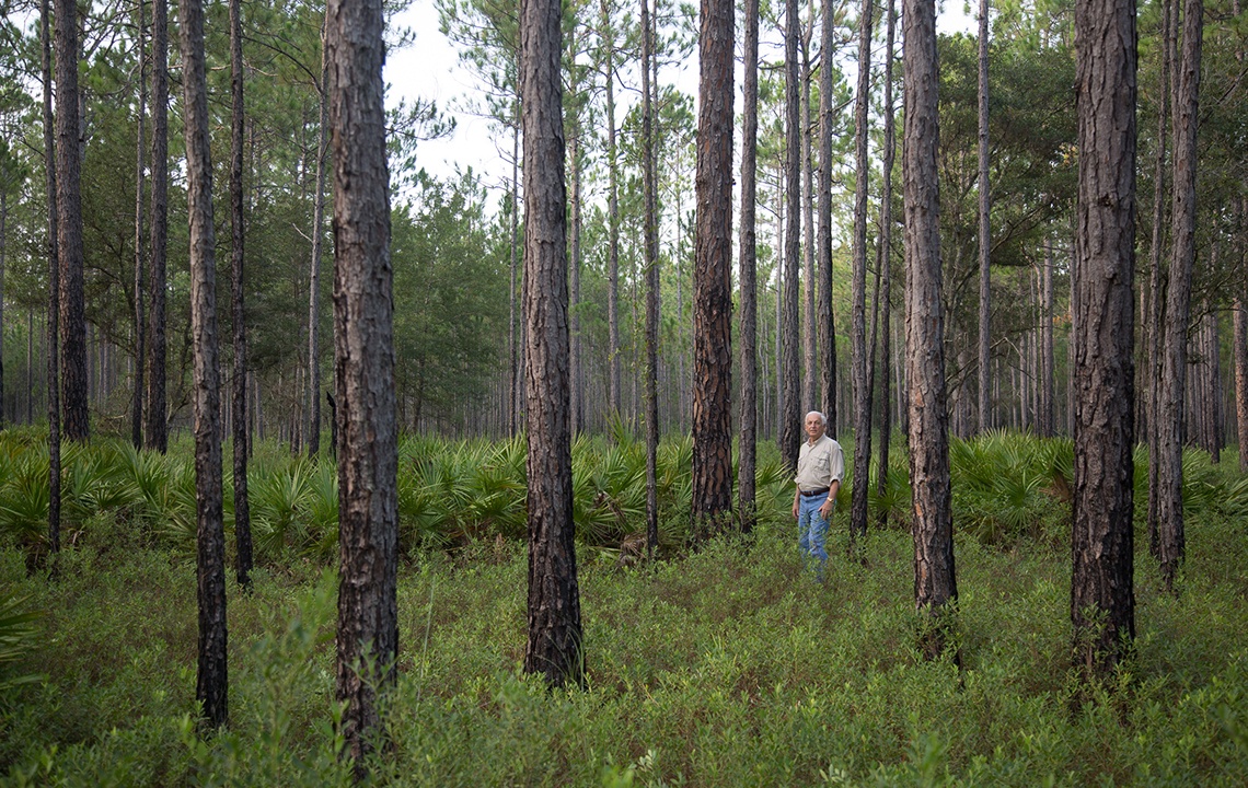 How to find the best hunting land in Florida.jpg