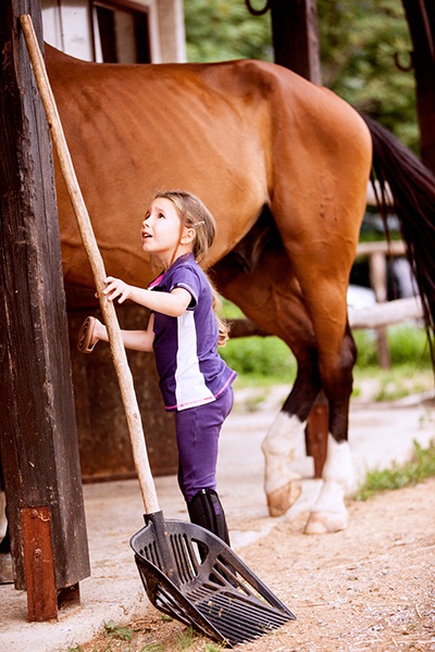 Kids Farm Chores with Horse.jpg