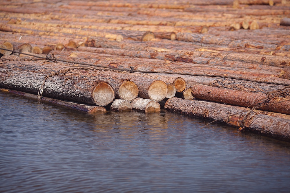 Logs Moved by River.jpg