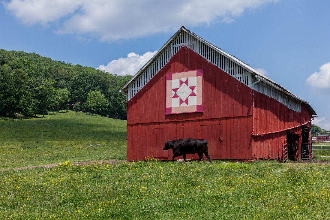 Quilt_Barns_with_Pink_Square_1100.jpg