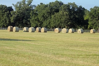 Hay Stacks at Aunique Ranch