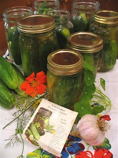 Cucumber Canning