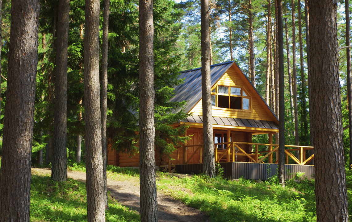 Designing the perfect hunting camp