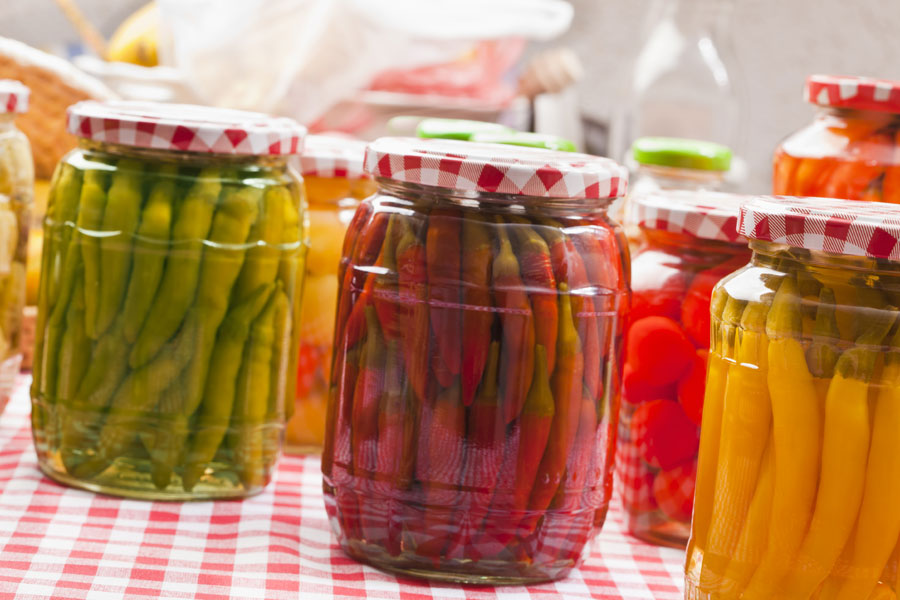 vegetables can be lacto-fermented