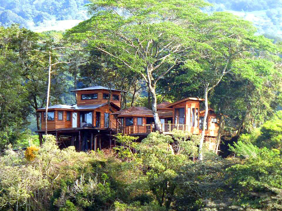 luxury treehouse hotel panama