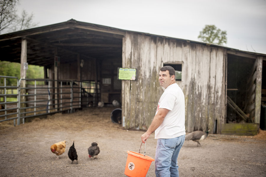 Eddie Conner II tends to guinea fowl on the Hilliard Florida farm