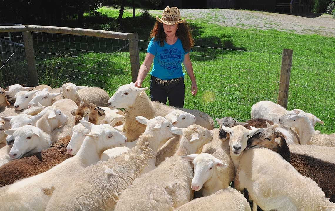 Meet Vickey: The sustainable shepherd