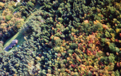 log house aerial view surrounded by woods