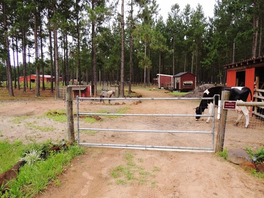 NaVera Farm animals enjoy a break in the farmyard