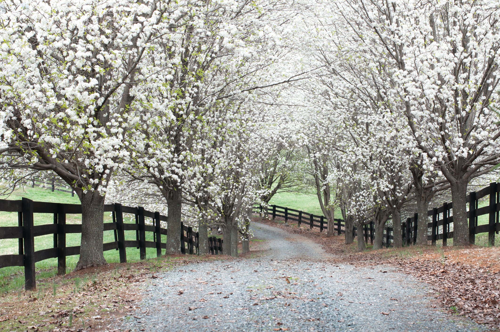 why-and-how-to-install-a-gravel-driveway-on-your-rural-land