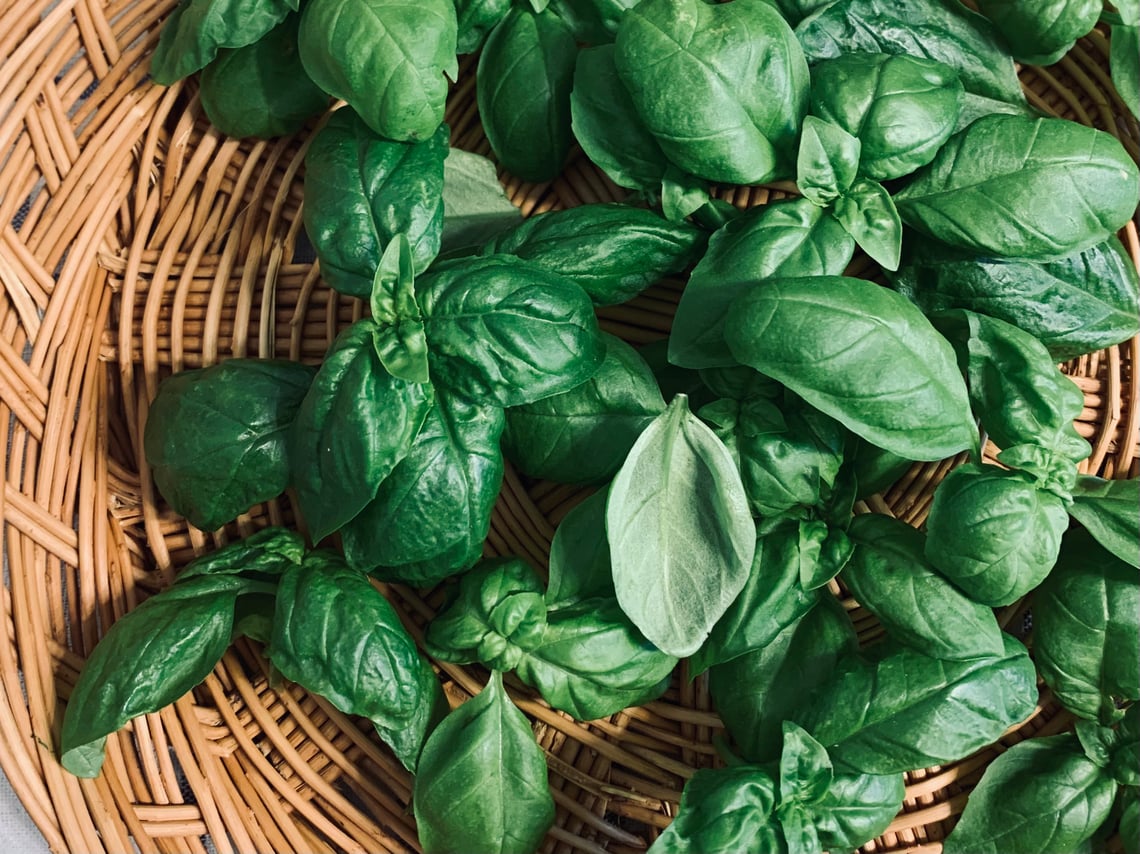 5 Ways to Preserve Fresh Basil