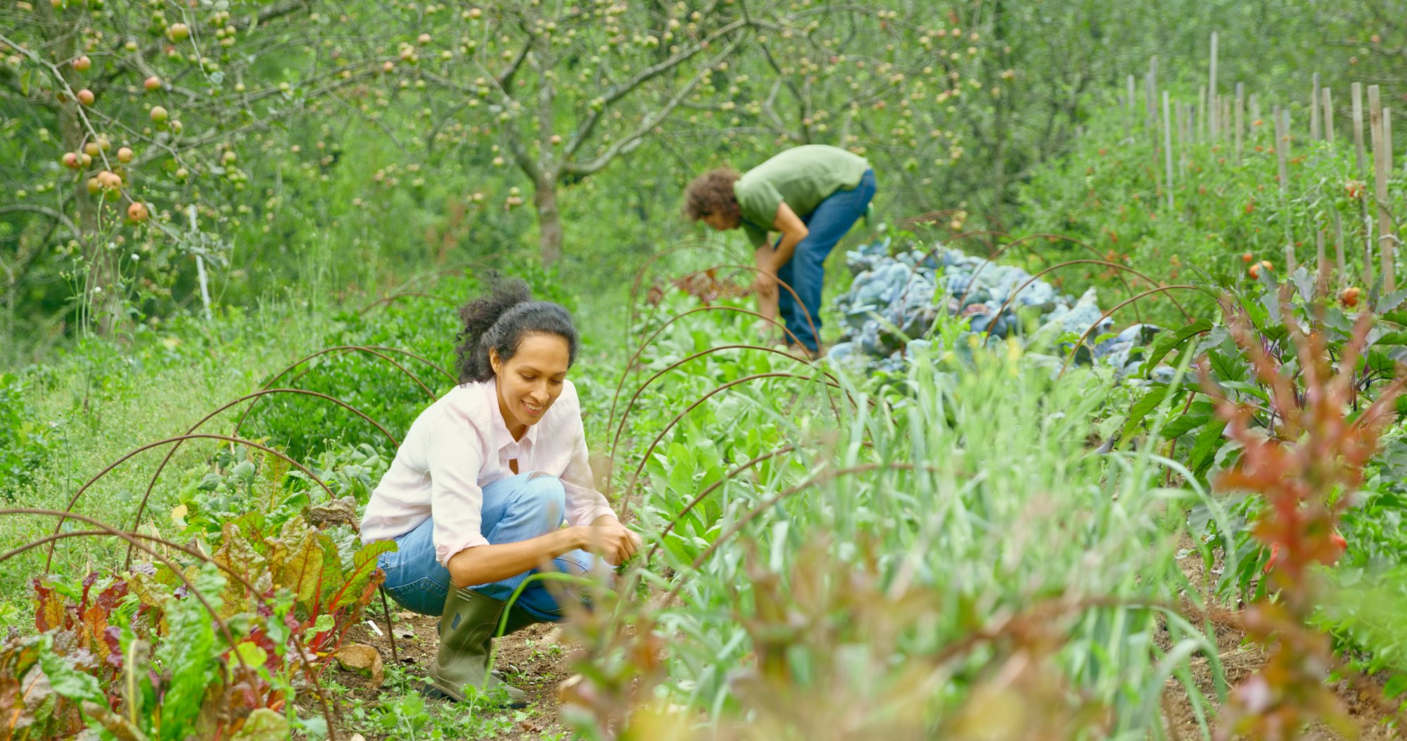 12 Things To Look For In A Homesteading Property