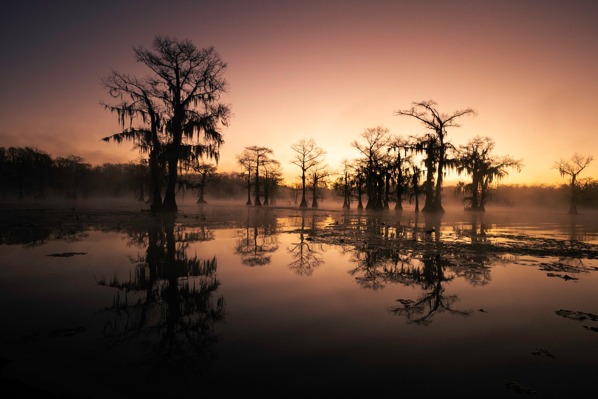 How To Buy Land in Louisiana, Part 1