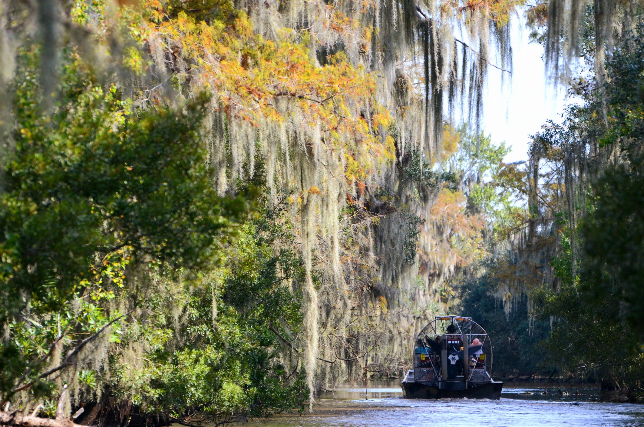 How To Buy Land In Louisiana, Part 2