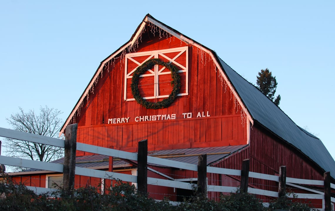 The Twelve "ways" of Christmas in the Country