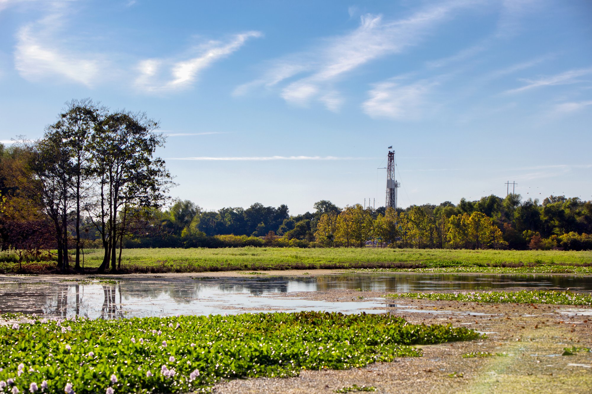 How To Buy Land In Louisiana Part 2