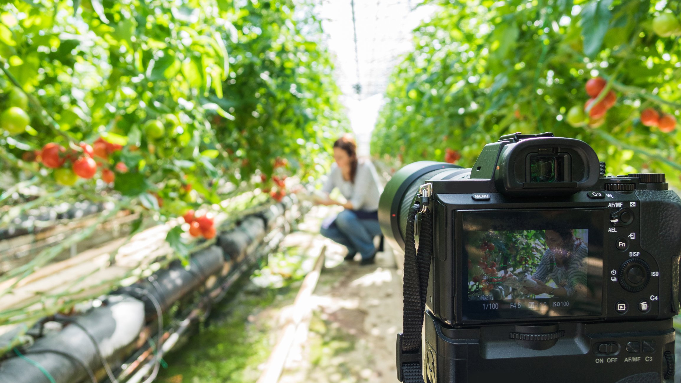 7 Ways to Make Money Off Your Land: Turn Your Acres Into Income