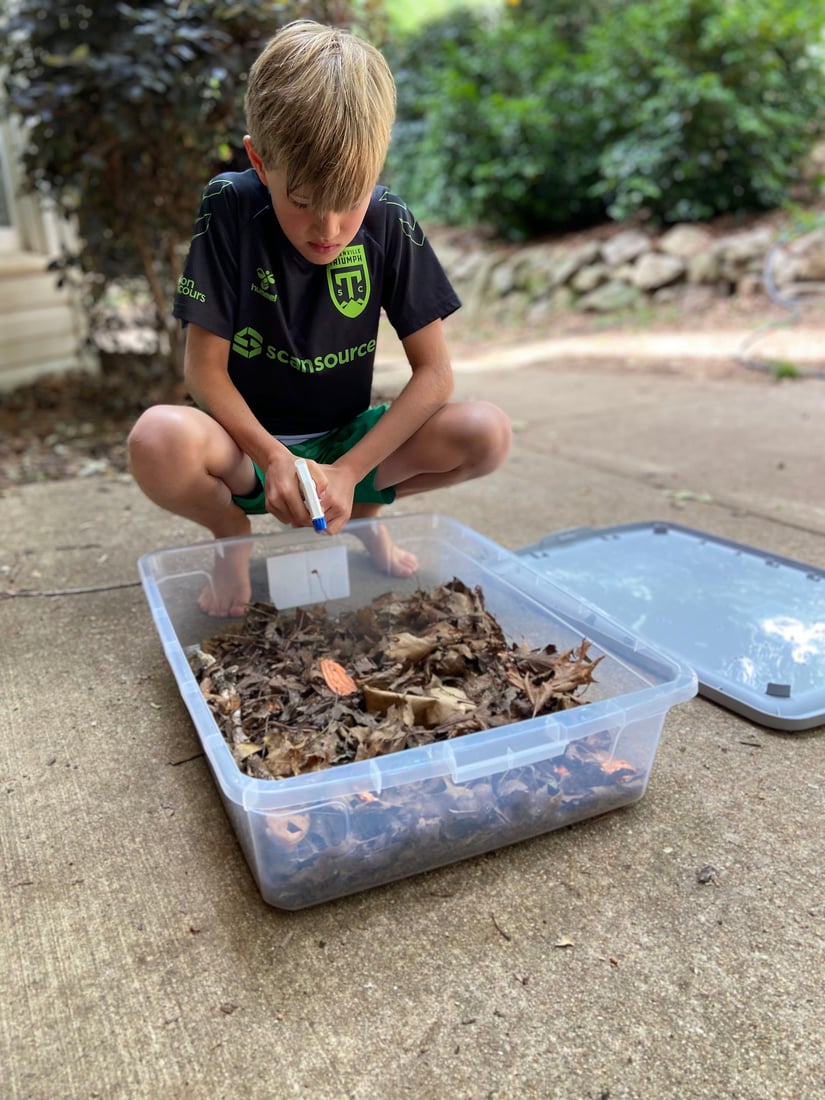 Worm Charming and DIY Worm Farms Summer Fun For Kids (And Anglers) Of