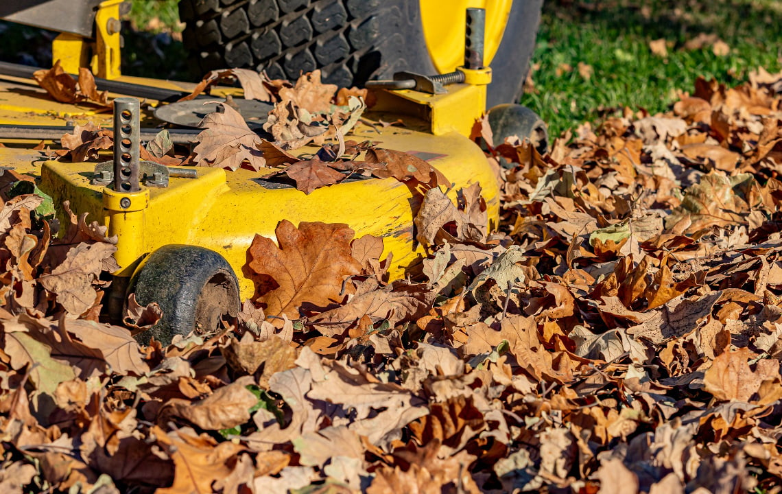 Lawn Care: Raking Versus Mulching of Leaves