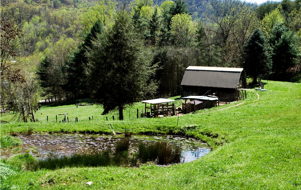 Pond Maintenance Part 2: Master Pond Care With an Effective Management Plan