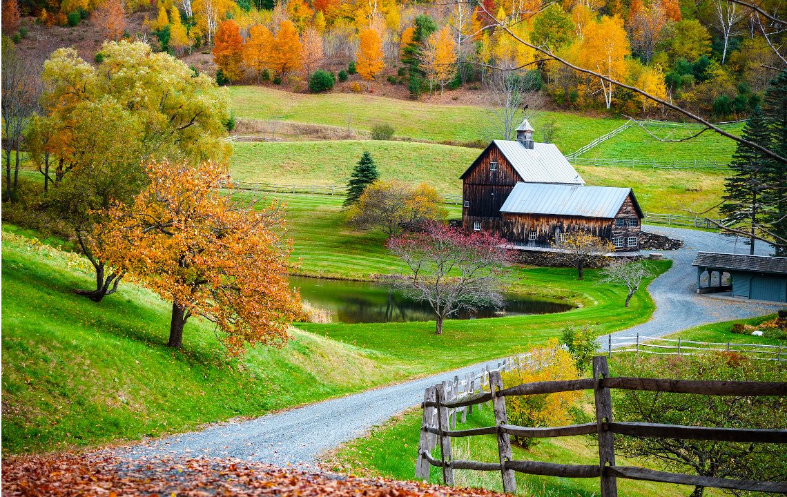 Pond Maintenance Part 1: Tips and Resources