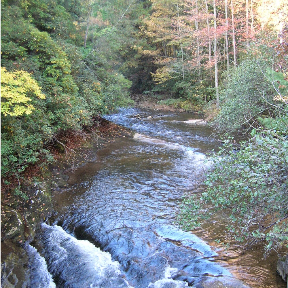 Ross_HabitatRestoration