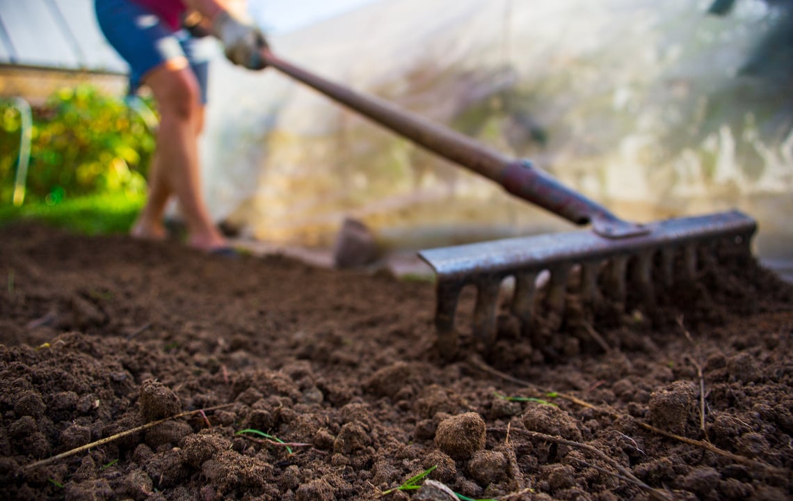 Soil Preparation For Gardening