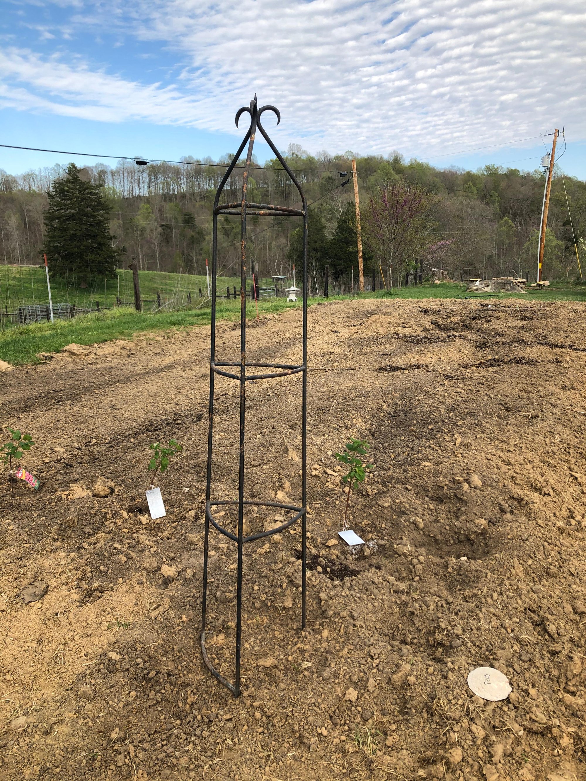 The Victory Garden Makes a Comeback