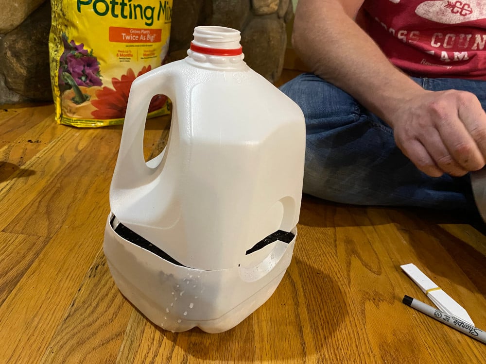 How to turn a milk jug into a mini greenhouse - Kentucky Native