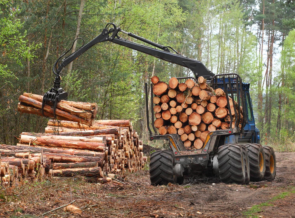 logging job