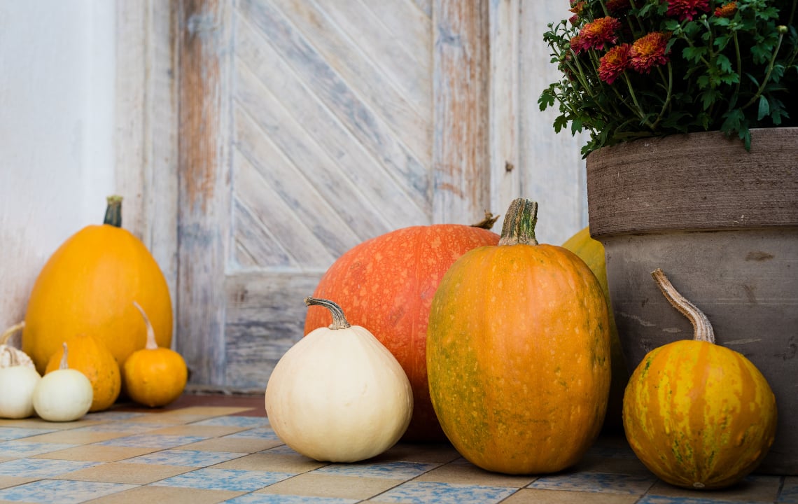 5 ZeroWaste Ideas for ecofriendly Pumpkin Decor
