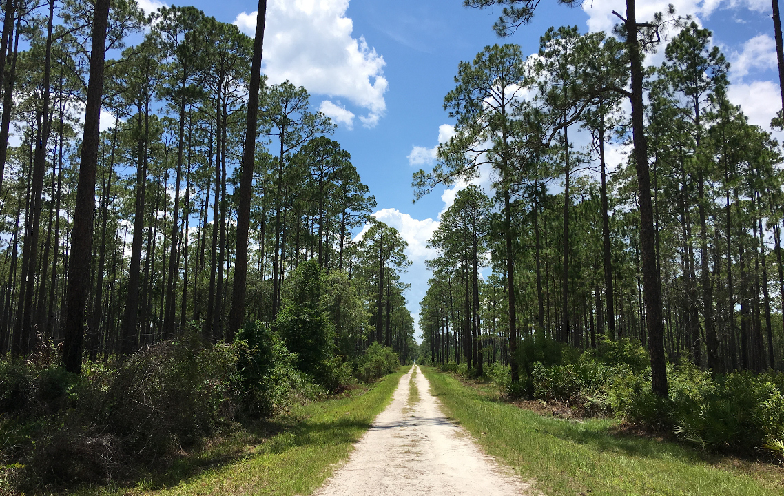 How To Find Land For Sale In Baker County, FLorida