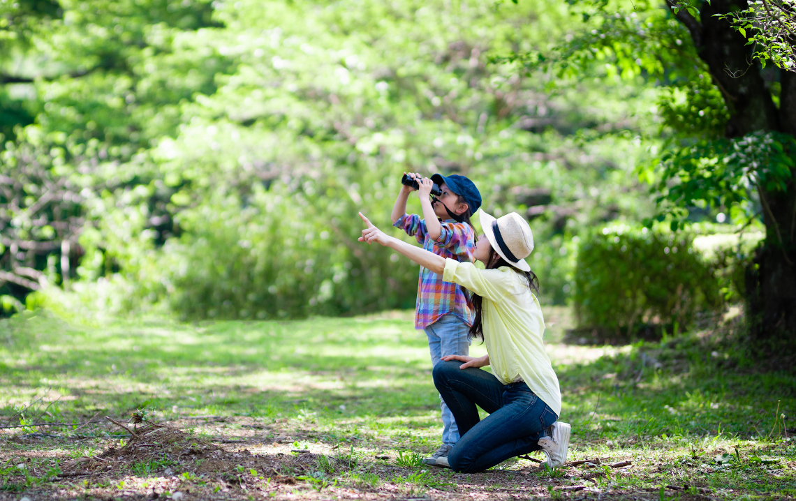 Start Birdwatching With Kids to Connect With Nature