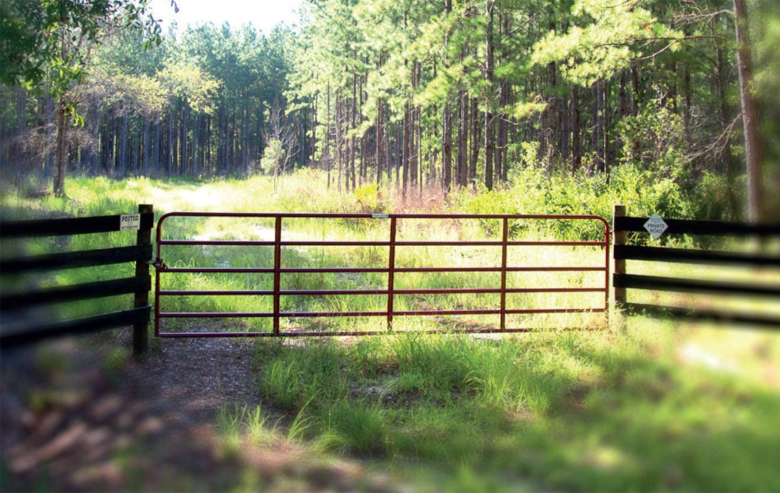 Tips for Buying Land in Florida | Rethink:Rural
