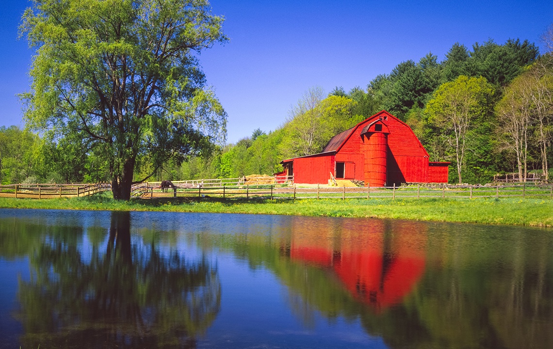 How to Build a Pond or Lake on Your Rural Property