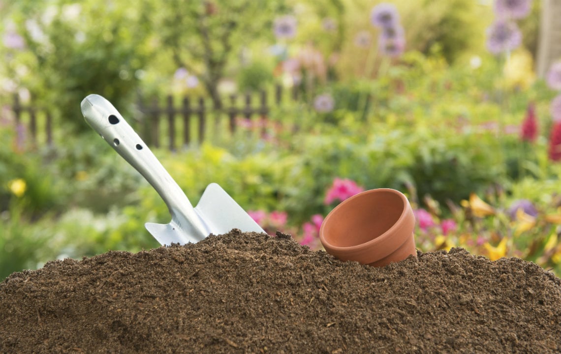 How to know your soil type  and why it's important