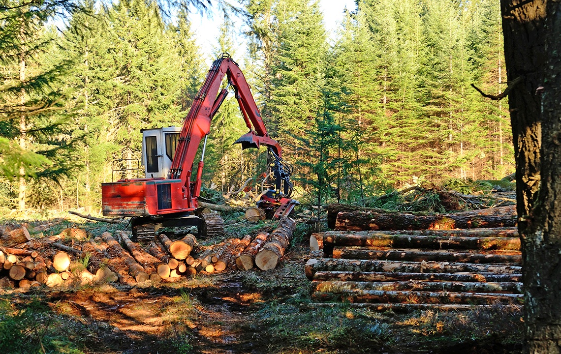 How to Repurpose Wood You Clear from Your Acreage