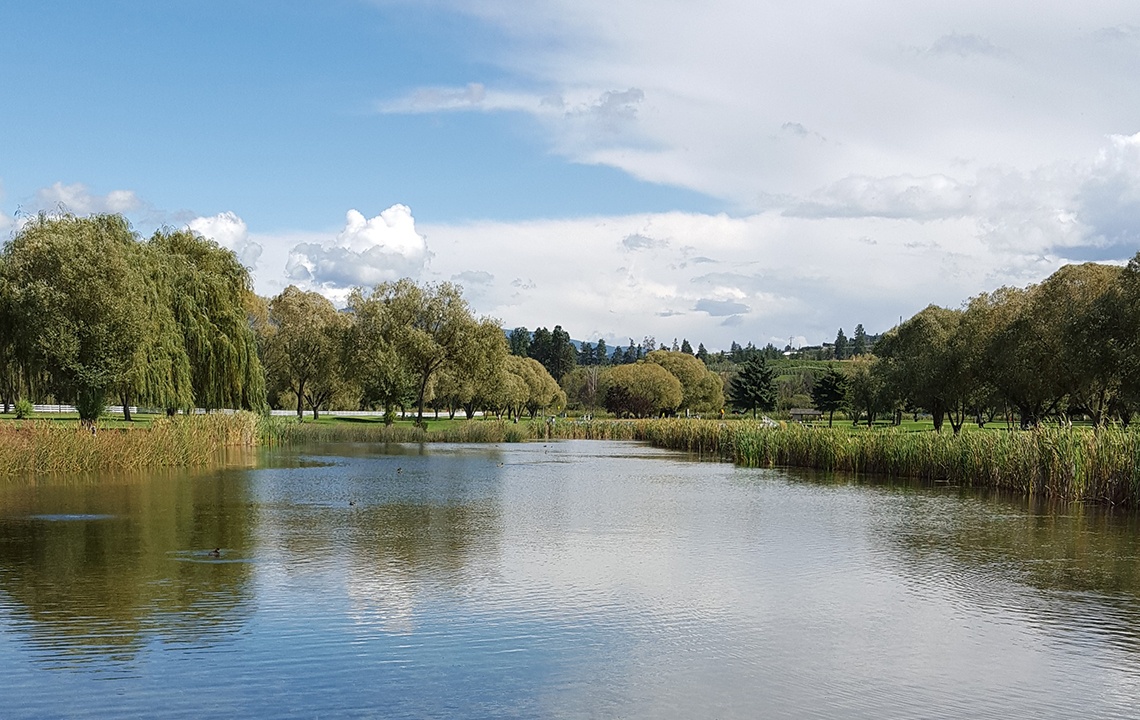 How to Naturally Maintain Ponds and Lakes on Your Rural Property