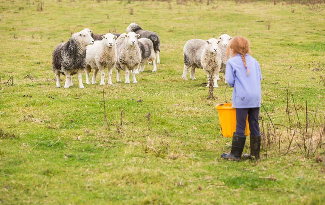 Secrets to Making Farm Chores Fun for Children of All Ages